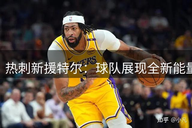 热刺新援特尔：球队展现全新能量 新赛季值得期待