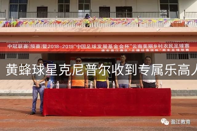 黄蜂球星克尼普尔收到专属乐高人偶
